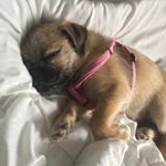 Profile Picture of Kate Jenkins (@kate.jenkinsss) on Instagram