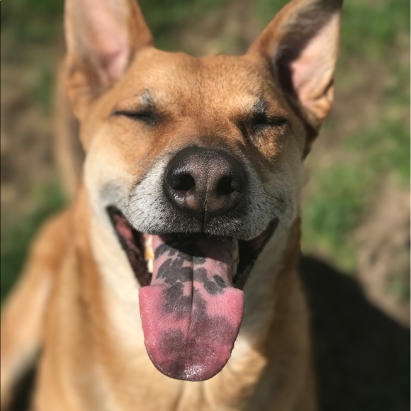 Profile Picture of Andrew Banner (@banner10) on Poshmark