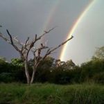 Profile Picture of Michael Milumba (@michaelmilumba) on Instagram