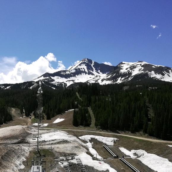 Profile Picture of Grace Bergerson (@pseudo12) on Poshmark