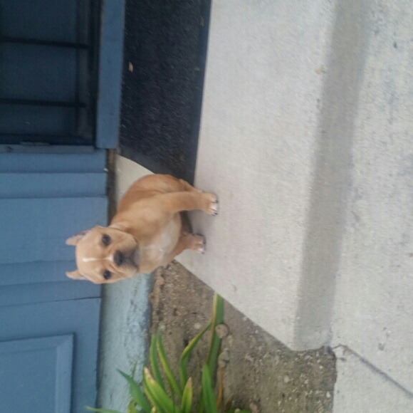 Profile Picture of Mirella Jimenez (@lechuga805) on Poshmark