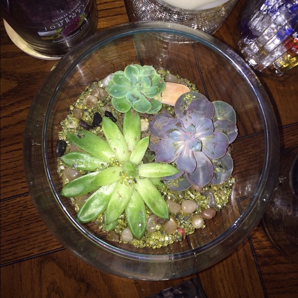 Profile Picture of Danielle Soffa (@dsoffa) on Poshmark