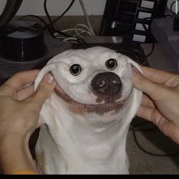 Profile Picture of Andrew Swenson (@dischordaxis) on Poshmark