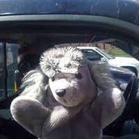 Profile Picture of Bradley Coleman Johnson (@bradley-coleman-johnson) on Quora