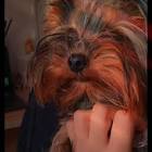 Mor Kam (@morkam) | TikTok - Tiktok Profile Picture of   Mor Kam (@morkam) | TikTok (@morkam) on Tiktok