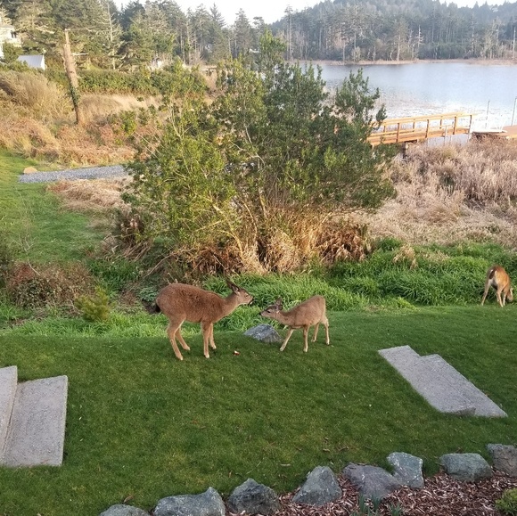 Profile Picture of Daryl Edwards (@scouttraveler80) on Poshmark