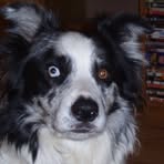 Profile Picture of Graham Ashby (@Graham-Ashby) on Facebook