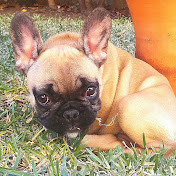 Profile Picture of Antonio Corso (@SUCCIO77) on Youtube