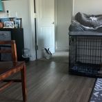 Profile Picture of Grayson Smith (@Grayson-Smith) on Facebook