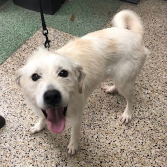 Profile Picture of Owen Grabinski (@owengrabinski) on Poshmark