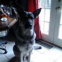 Profile Picture of Diane Engstrom (@diane-engstrom-2) on Quora