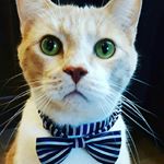 Profile Picture of Jessica (@antibeefdairyan) on Instagram