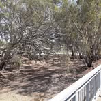 David Gealer - Facebook Profile Picture of David Gealer (@David-Gealer) on Facebook