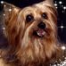 Profile Picture of Harold Warford (@harold.warford) on Facebook
