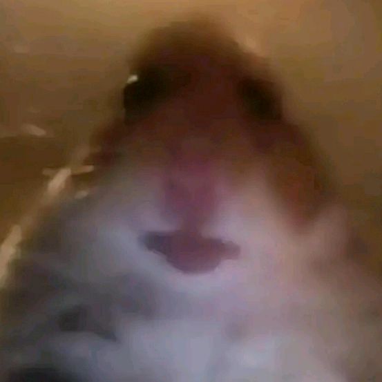 Profile Picture of loving the pfp🙂🤚🏾 (@dereksdreads) on Tiktok