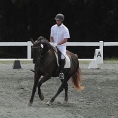 Profile Picture of John Lasher (@lasherperformancehorses) on Tiktok