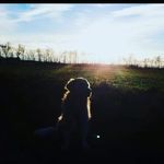 Profile Picture of Nancy Schramm (@ycnan_mmarhcs) on Instagram