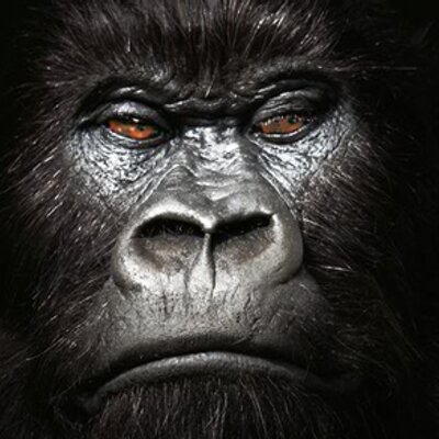 Profile Picture of Stephen Folmer (@spfthink) on Twitter