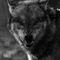 Profile Picture of David Hickam (@david.hickam.92) on Facebook