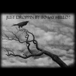 Profile Picture of Cindy Newcomb (@raven0328) on Instagram