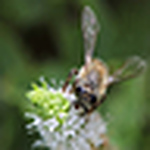 Profile Picture of Asmaa Al-yahyai (@asma al-yahyai) on Flickr