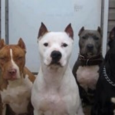 Profile Picture of Gary Witcher (@GaryWitcher1) on Twitter