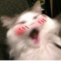 Profile Picture of Sonja Andrews (@sonja-andrews-5) on Quora