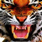 Profile Picture of Hélcio Fernandes (@nepenthes) on Flickr