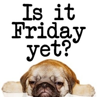 Joel - Twitter Profile Picture of Joel (@dingle97) on Twitter