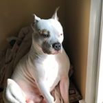 Profile Picture of David Blevins (@blevins5674) on Instagram
