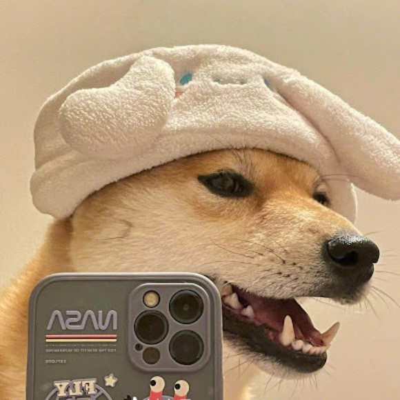 Profile Picture of Steven Ma (@masteven1108) on Poshmark