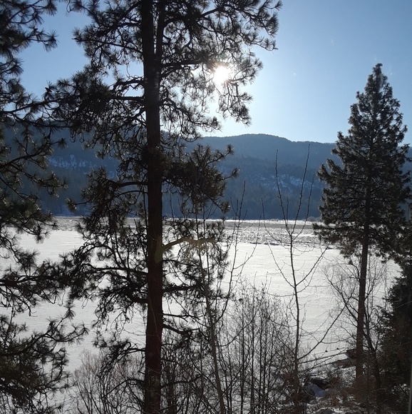 Liz Ryburn - Poshmark Profile Picture of Liz Ryburn (@lizryburn) on Poshmark