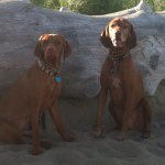 Profile Picture of Janice Thyne Conroy (@janconroy) on Instagram