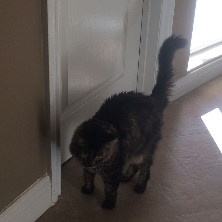 Profile Picture of Adam Encinas (@someguy021407) on Tiktok