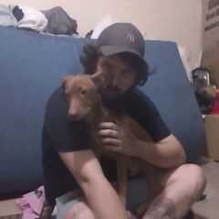 Matthew Lewin - Tiktok Profile Picture of Matthew Lewin (@matthew.lewin4) on Tiktok