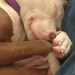 Profile Picture of Kim Maxwell (@kmaxwell46) on Pinterest