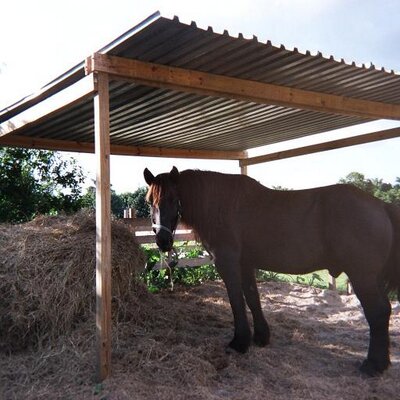 Profile Picture of Steven Luttrell (@cowboyup3choo) on Twitter