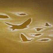 Profile Picture of Daniel Risse (@238235321) on Myspace