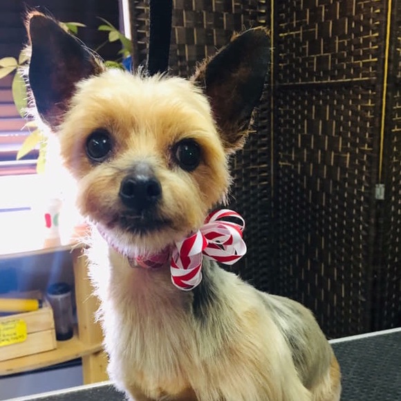 Profile Picture of Christy Dutko (@cmb8176) on Poshmark