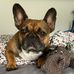 Profile Picture of Frieda Lorber (@frieda.lorber.37) on Facebook