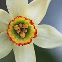 Profile Picture of Joy Cleary (@joy-cleary) on Quora