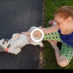 Profile Picture of Julia And My Dog Lexie (@julia_brucato) on Instagram