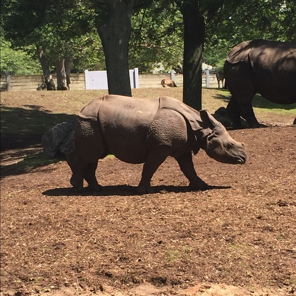 Profile Picture of Meghan Wilber (@meegs21) on Poshmark