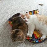 Profile Picture of janet doolittle (@janetdoolittle) on Instagram