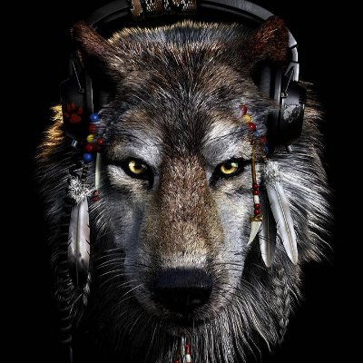 Profile Picture of Keith Dark Wolf (@KeithDarkWolf1) on Twitter