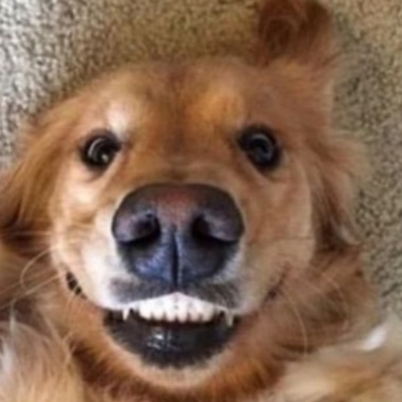 Profile Picture of Aria Fischer (@aria_fischer) on Poshmark