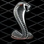 Profile Picture of Patrick Perron (@patrick.perron.71) on Instagram