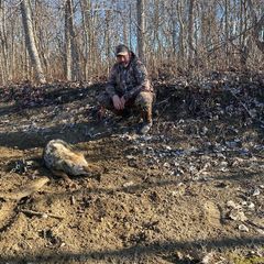 Profile Picture of Jeremy Seabaugh (@jeremy.seabaugh) on Tiktok