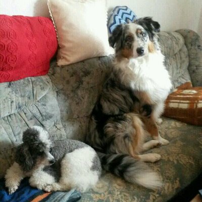 Profile Picture of Claudia Thiele (@ErikFaatz) on Twitter