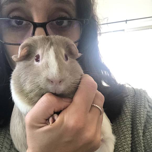 Profile Picture of Cristina Casey (@ccasey86) on Poshmark